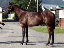 ����å��ǳ��������ɽ�����ޤ�