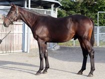 ����å��ǳ��������ɽ�����ޤ�