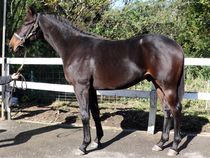 ����å��ǳ��������ɽ�����ޤ�