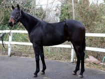 ����å��ǳ��������ɽ�����ޤ�