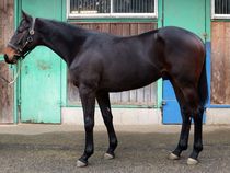 ����å��ǳ��������ɽ�����ޤ�