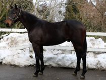 ����å��ǳ��������ɽ�����ޤ�