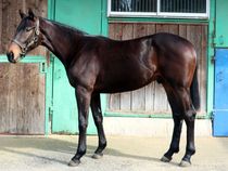 ����å��ǳ��������ɽ�����ޤ�