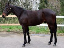 ����å��ǳ��������ɽ�����ޤ�