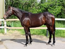 ����å��ǳ��������ɽ�����ޤ�