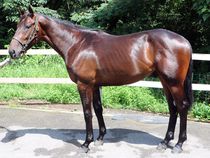 ����å��ǳ��������ɽ�����ޤ�