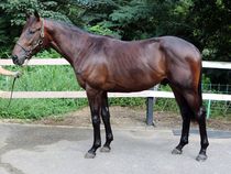 ����å��ǳ��������ɽ�����ޤ�