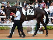 ����å��ǳ��������ɽ�����ޤ�