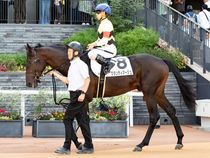 ����å��ǳ��������ɽ�����ޤ�