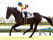 ����å��ǳ��������ɽ�����ޤ�