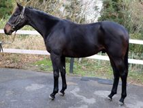 ����å��ǳ��������ɽ�����ޤ�