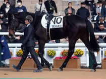 ����å��ǳ��������ɽ�����ޤ�