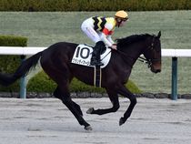 ����å��ǳ��������ɽ�����ޤ�