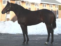 ����å��ǳ��������ɽ�����ޤ�