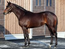 ����å��ǳ��������ɽ�����ޤ�