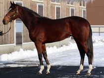 ����å��ǳ��������ɽ�����ޤ�