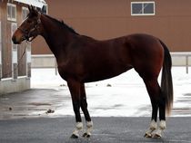 ����å��ǳ��������ɽ�����ޤ�