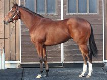 ����å��ǳ��������ɽ�����ޤ�