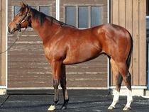 ����å��ǳ��������ɽ�����ޤ�