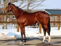 ����å��ǳ��������ɽ�����ޤ�