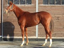 ����å��ǳ��������ɽ�����ޤ�