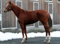 ����å��ǳ��������ɽ�����ޤ�