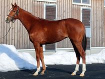 ����å��ǳ��������ɽ�����ޤ�