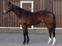 ����å��ǳ��������ɽ�����ޤ�