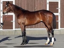 ����å��ǳ��������ɽ�����ޤ�