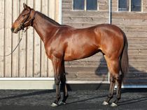 ����å��ǳ��������ɽ�����ޤ�