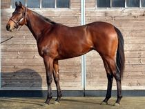 ����å��ǳ��������ɽ�����ޤ�