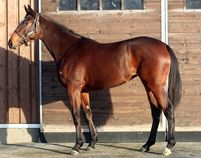 ����å��ǳ��������ɽ�����ޤ�