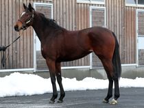 ����å��ǳ��������ɽ�����ޤ�