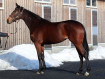 ����å��ǳ��������ɽ�����ޤ�