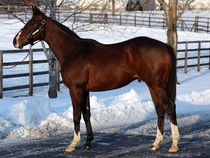 ����å��ǳ��������ɽ�����ޤ�