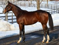 ����å��ǳ��������ɽ�����ޤ�