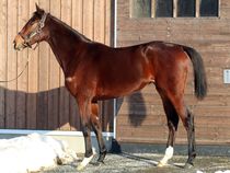 ����å��ǳ��������ɽ�����ޤ�