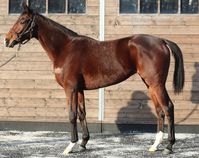 ����å��ǳ��������ɽ�����ޤ�