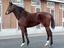 ����å��ǳ��������ɽ�����ޤ�