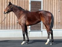 ����å��ǳ��������ɽ�����ޤ�