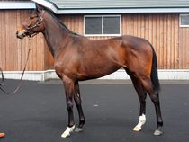 ����å��ǳ��������ɽ�����ޤ�