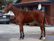 ����å��ǳ��������ɽ�����ޤ�