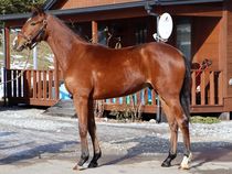 ����å��ǳ��������ɽ�����ޤ�