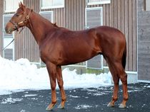 ����å��ǳ��������ɽ�����ޤ�