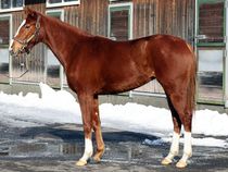 ����å��ǳ��������ɽ�����ޤ�