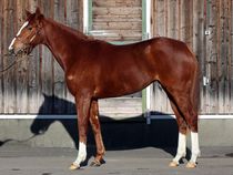 ����å��ǳ��������ɽ�����ޤ�