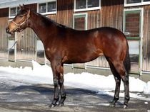 ����å��ǳ��������ɽ�����ޤ�