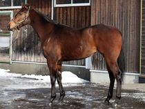 ����å��ǳ��������ɽ�����ޤ�