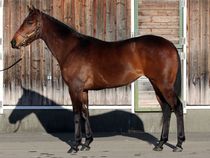 ����å��ǳ��������ɽ�����ޤ�