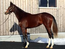 ����å��ǳ��������ɽ�����ޤ�